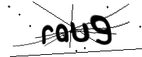 captcha_img